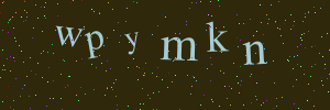 Validation image